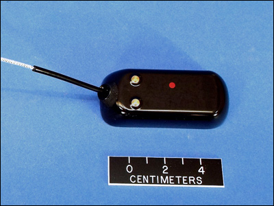 TAV-2965